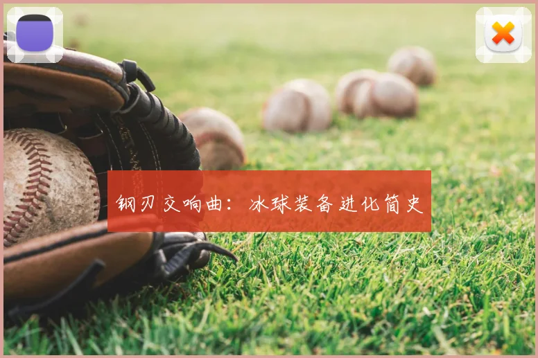 钢刃交响曲：冰球装备进化简史